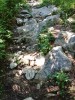 Début du sentier des tannes