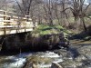 le pont de bois et ses piles romaines