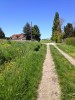 Chemin en bordure de champ