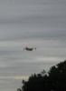 Canadair venant de remplir son réservoir