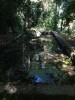 Le bassin extérieur du lavoir de Saint-Sulpice