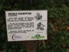 Sentier botanique