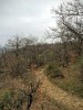 Sentier après Lauzerte