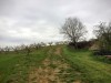 Montée vers Aube Nouvelle