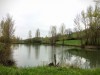 Etang