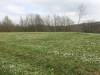 prairie fleurie