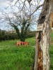Accueil pélerins entrée Moissac