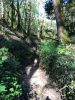 Marche dans le lit du Vau