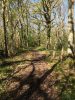 Allée du parc des Grillets