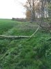 arbres abattus sur le sentier