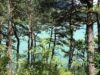 Photo Cro-Magnonne