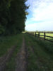 le long des haras