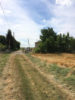 sentier coupant la voie ferrée