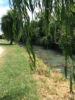 ruisseau de Perrée