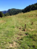 balisage GR Tour des Bauges