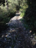 ancienne muraille