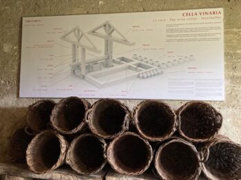 Plan d'un chai